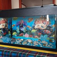 Acquario 80 lt