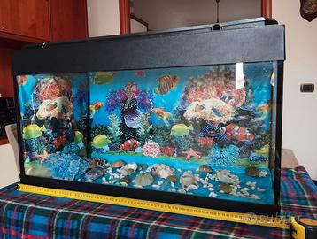 Acquario 80 lt