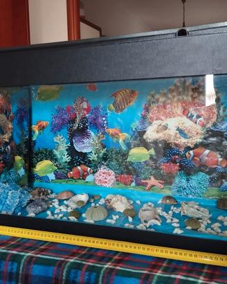Acquario 80 lt