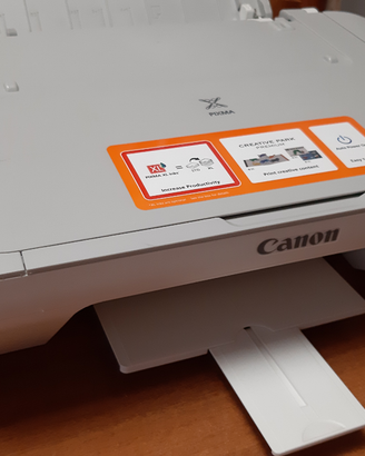 Stampante scanner Canon MG 2450