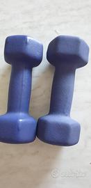 Pesi per palestra Rovera 