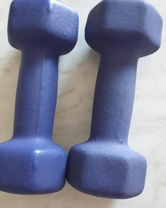 Pesi per palestra Rovera 
