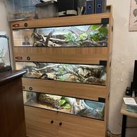 Teca Per serpenti/rettili con sfondo 3D