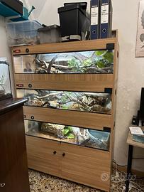 Teca Per serpenti/rettili con sfondo 3D