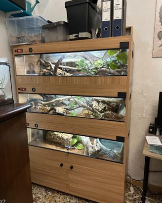 Teca Per serpenti/rettili con sfondo 3D