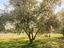 Immagine 24