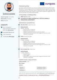 Cica lavoro maggzineri di carralista