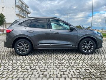 Ford kuga ST-Line X 1.5 Diesel Hybrid 120cv-Automa