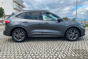 Ford kuga ST-Line X 1.5 Diesel Hybrid 120cv-Automa