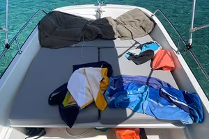 Boston whaler 17