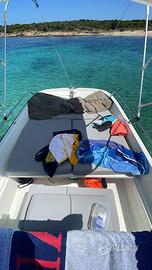 Boston whaler 17