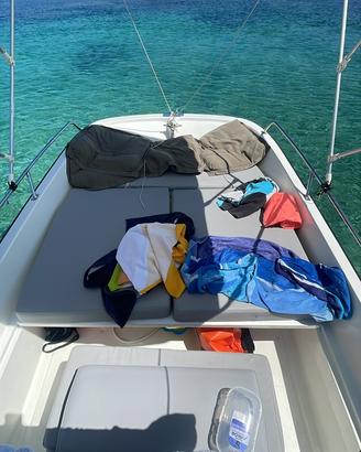 Boston whaler 17