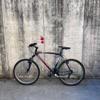 Bicicletta MTB Bottecchia 100