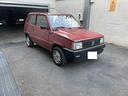 fiat-panda-1-serie-900-i-e-cat-young