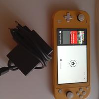 Nintendo switch lite 