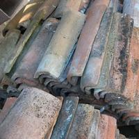 coppi toscani (tegole)