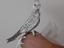 Immagine 4
