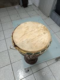 bongo