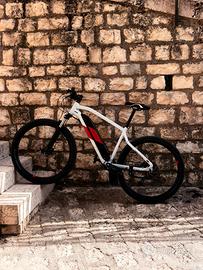 Bicicletta ebike