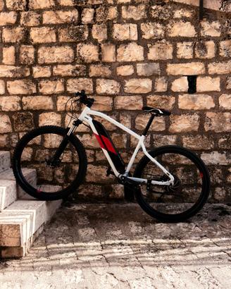 Bicicletta ebike