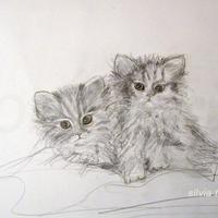 Disegno a matita gattini - quadro - senza cornice