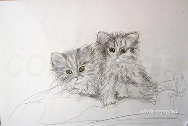 Disegno a matita gattini - quadro - senza cornice