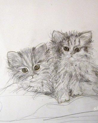 Disegno a matita gattini - quadro - senza cornice