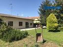 casa-singola-da-ristrutturare-con-ampio-terreno-ed
