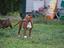 Immagine 9