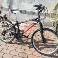 bicicletta 24"da ragazzo 18 rapporti 