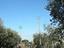 Immagine 12