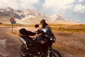 Triumph Tiger 955i- 2003