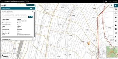 Bosco zona Vallone Savogna DìIsonzo