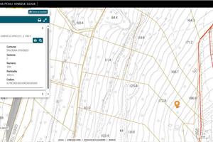 Bosco zona Vallone Savogna DìIsonzo