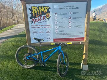 Cannondale Cujo race 24