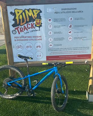 Cannondale Cujo race 24