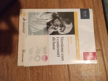 IL BELLO DELLA LETTERATURA, Rizzoli