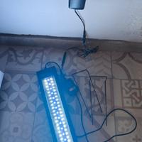 luce RGB acquario 
