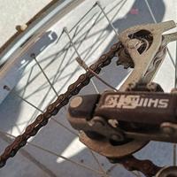 bici uomo e donna