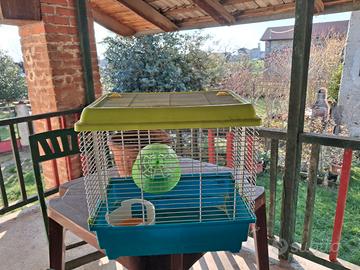 Gabbia per criceto completa di accessori