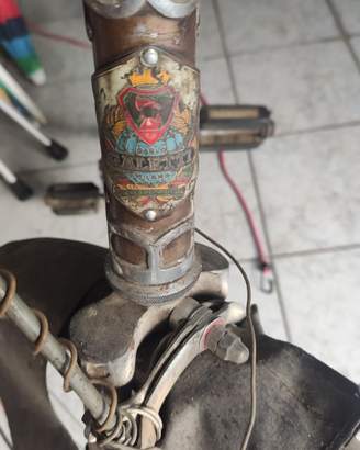 Bicicletta Galetti