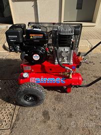 Motocompressore con 2 Abbacchiatori Raccolta olive