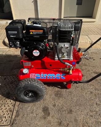 Motocompressore con 2 Abbacchiatori Raccolta olive