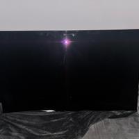 Sony bravia 65" OLED schermo rotto