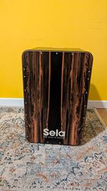 Cajon Sela Pro + Custodia 