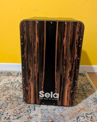 Cajon Sela Pro + Custodia 