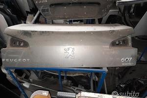 Baule - Bauletto Posteriore Per Peugeot 607