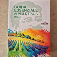 Guida Essenziale ai Vini d’Italia 2025
