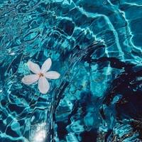 Educatrice domiciliare