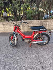 Califfone